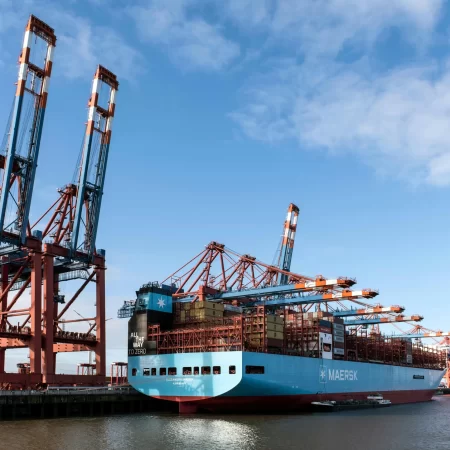 pexels-wolfgang-weiser-467045605-30733666